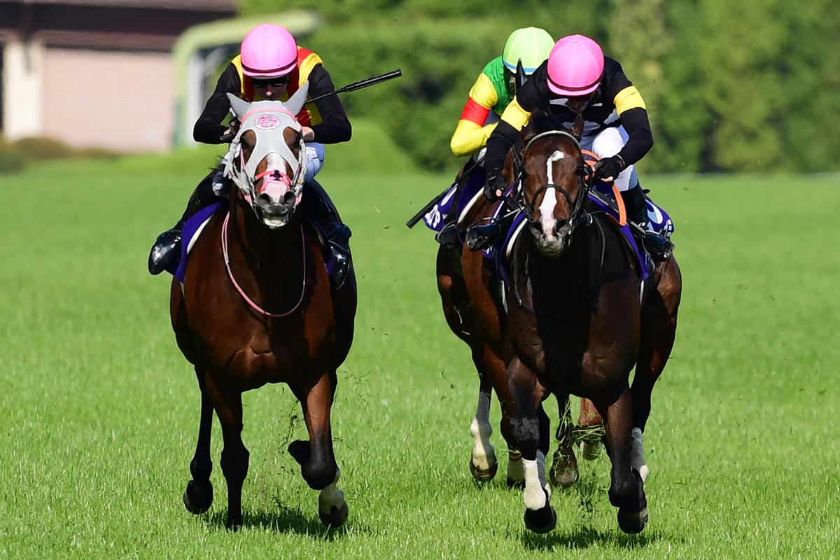 3連単105万円馬券を演出！ 今村聖奈が初の〝単勝万馬券〟Vで大